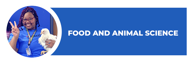 Food and Animal