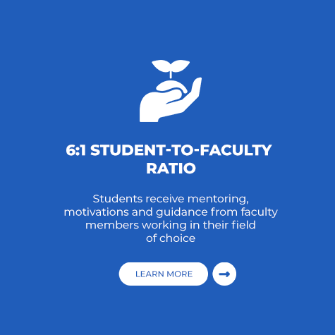 Student to Faculty Ratio