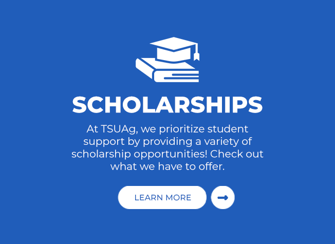 Scholarships