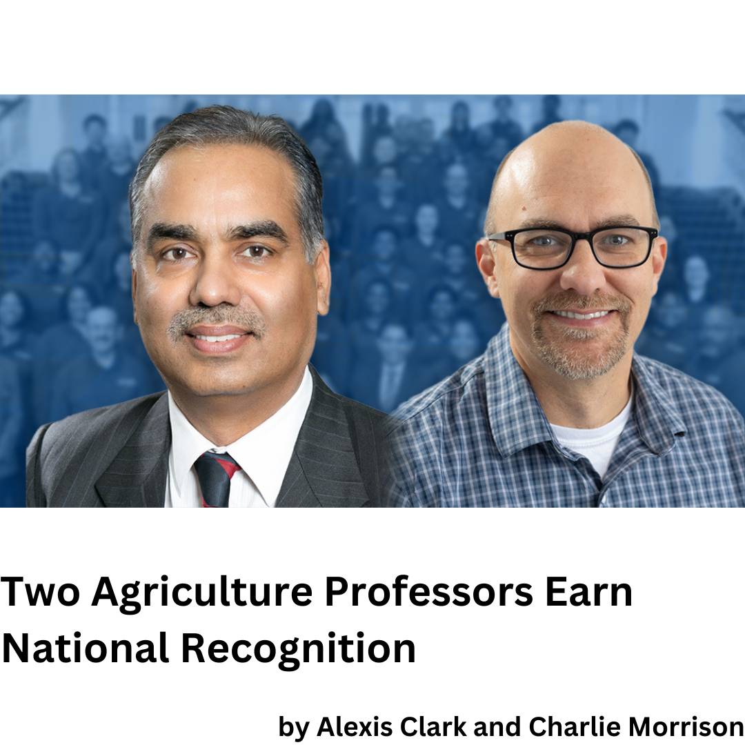 Ag Professors Win Awards