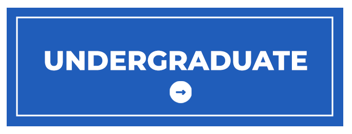 Undergraduate