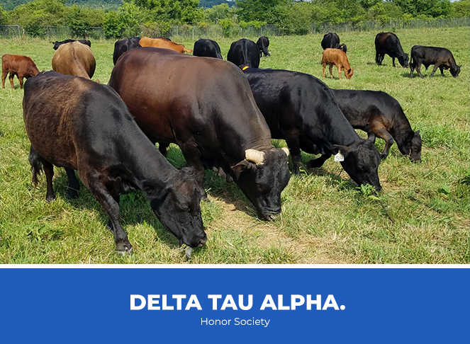 delta tau