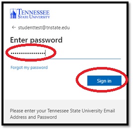 Elearn Sign In page with entering password