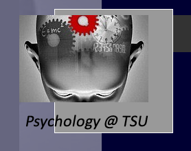 Psychology Program