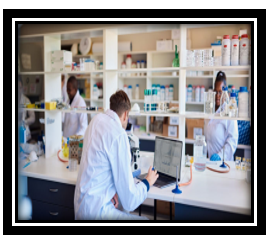 Life and Physical Sciences Image