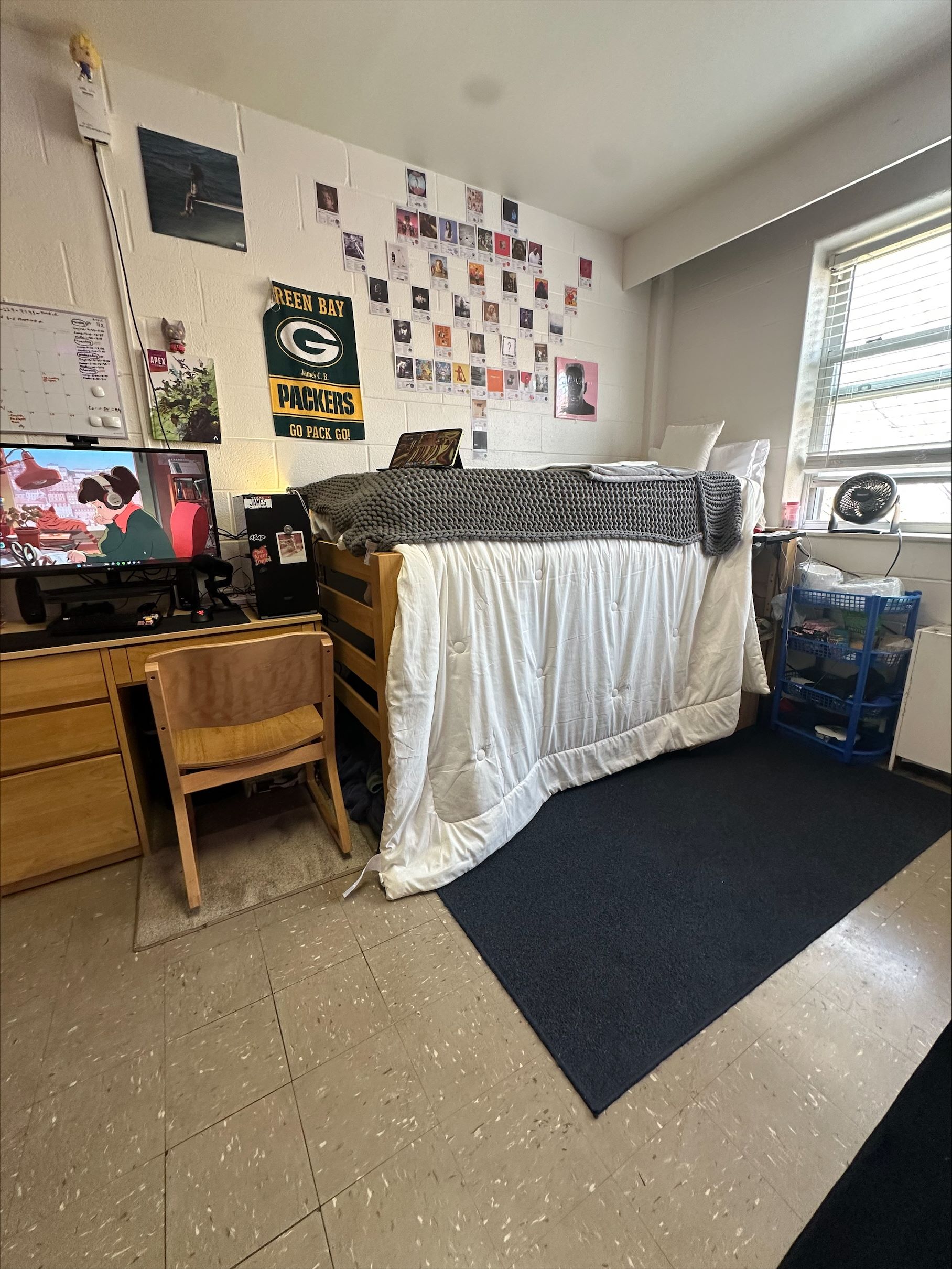 Watson Dorm Decor 2025