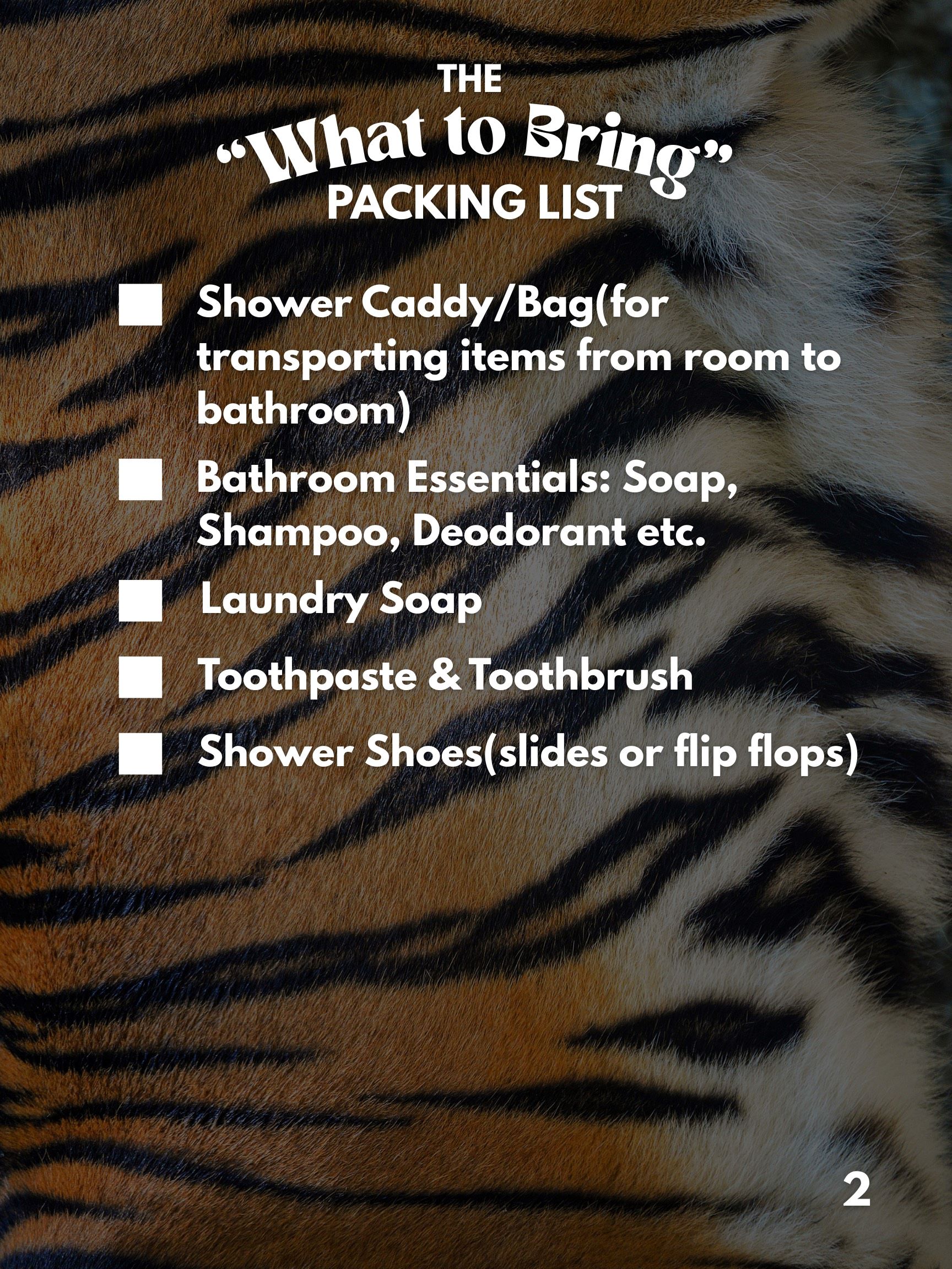What to Bring 2