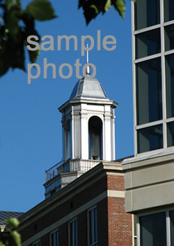 TSU cupola